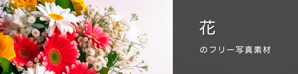 お花の写真