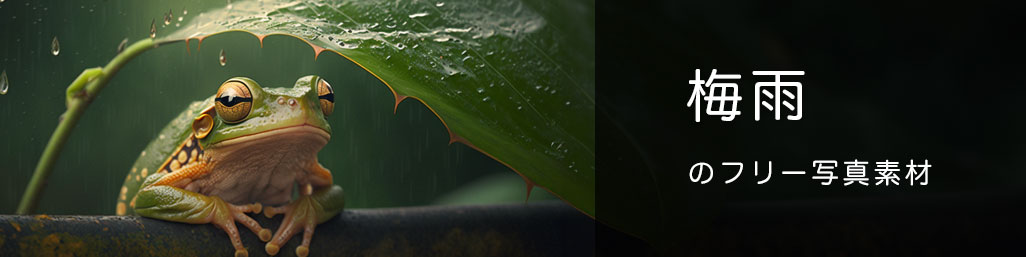 梅雨をイメージする写真