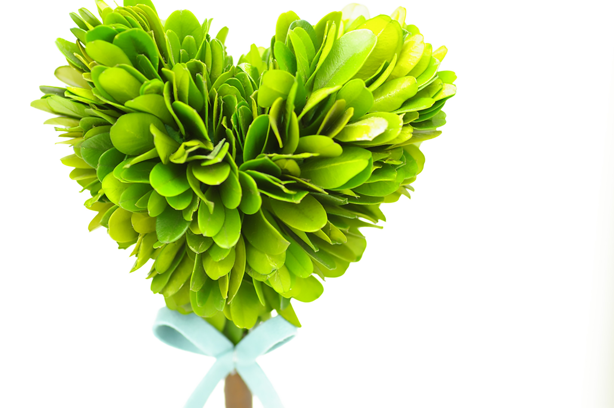 ハートの観葉植物,雑貨(00317)