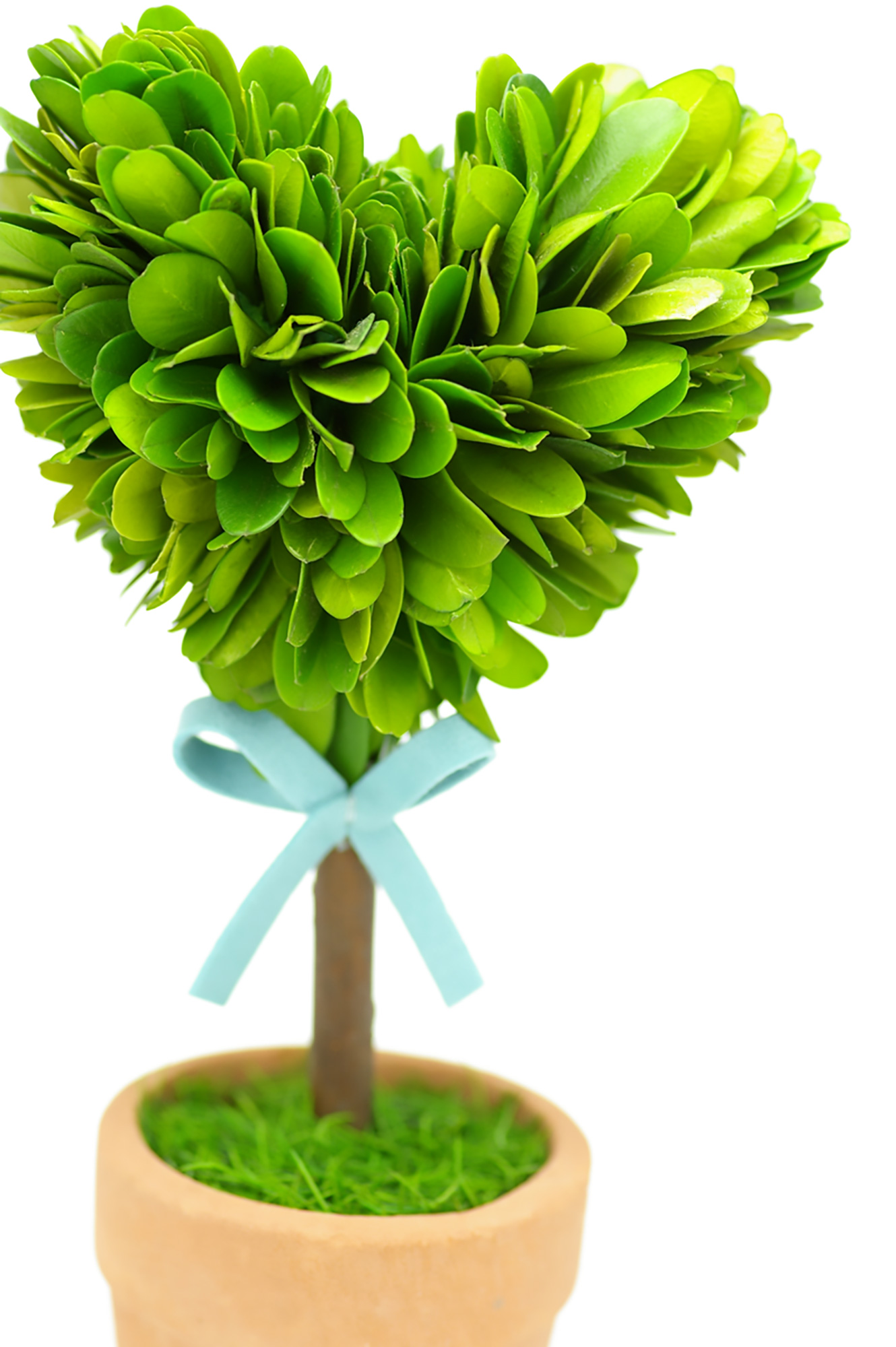 ハートの観葉植物,雑貨(00318)