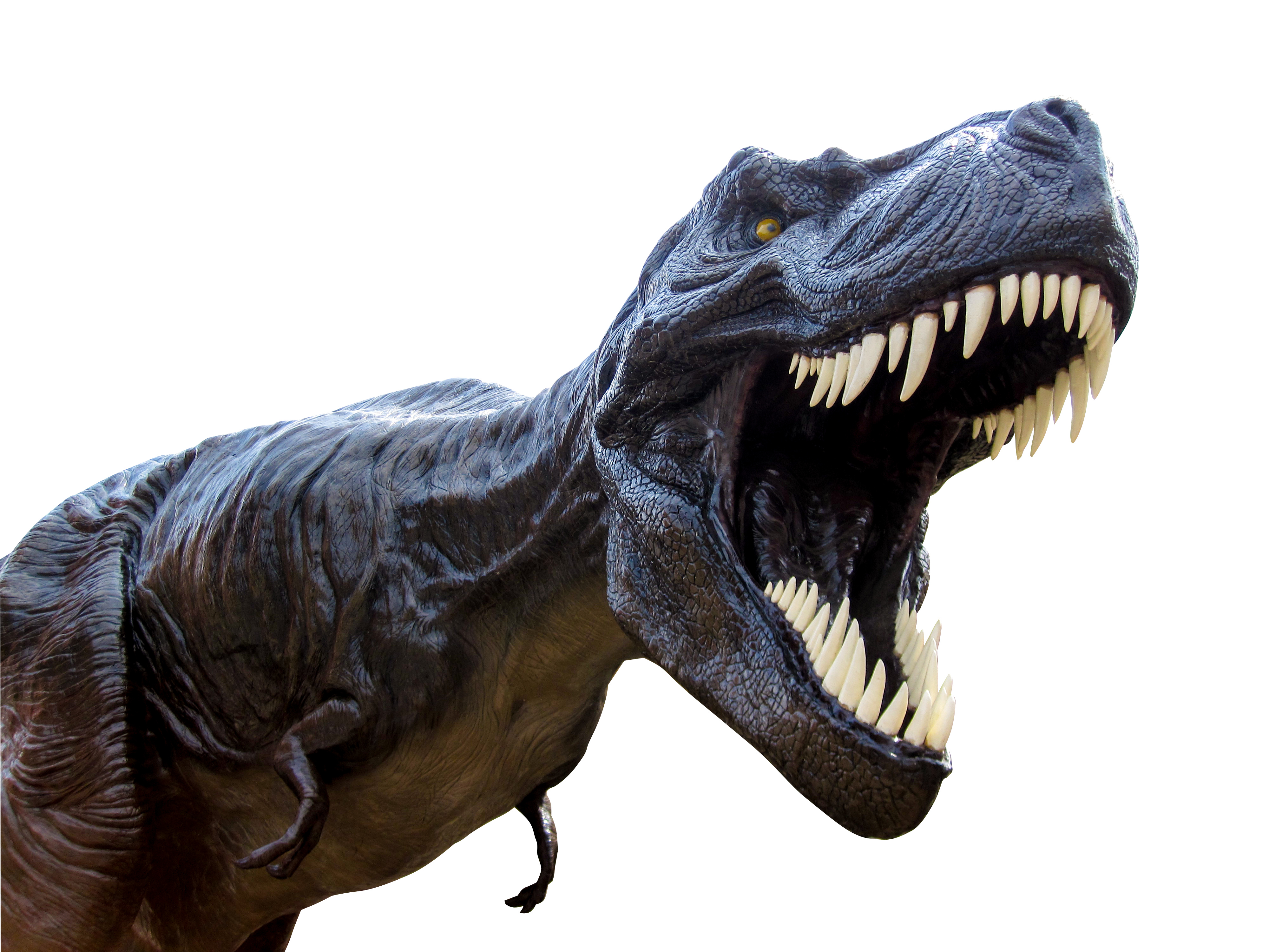 恐竜（00713）