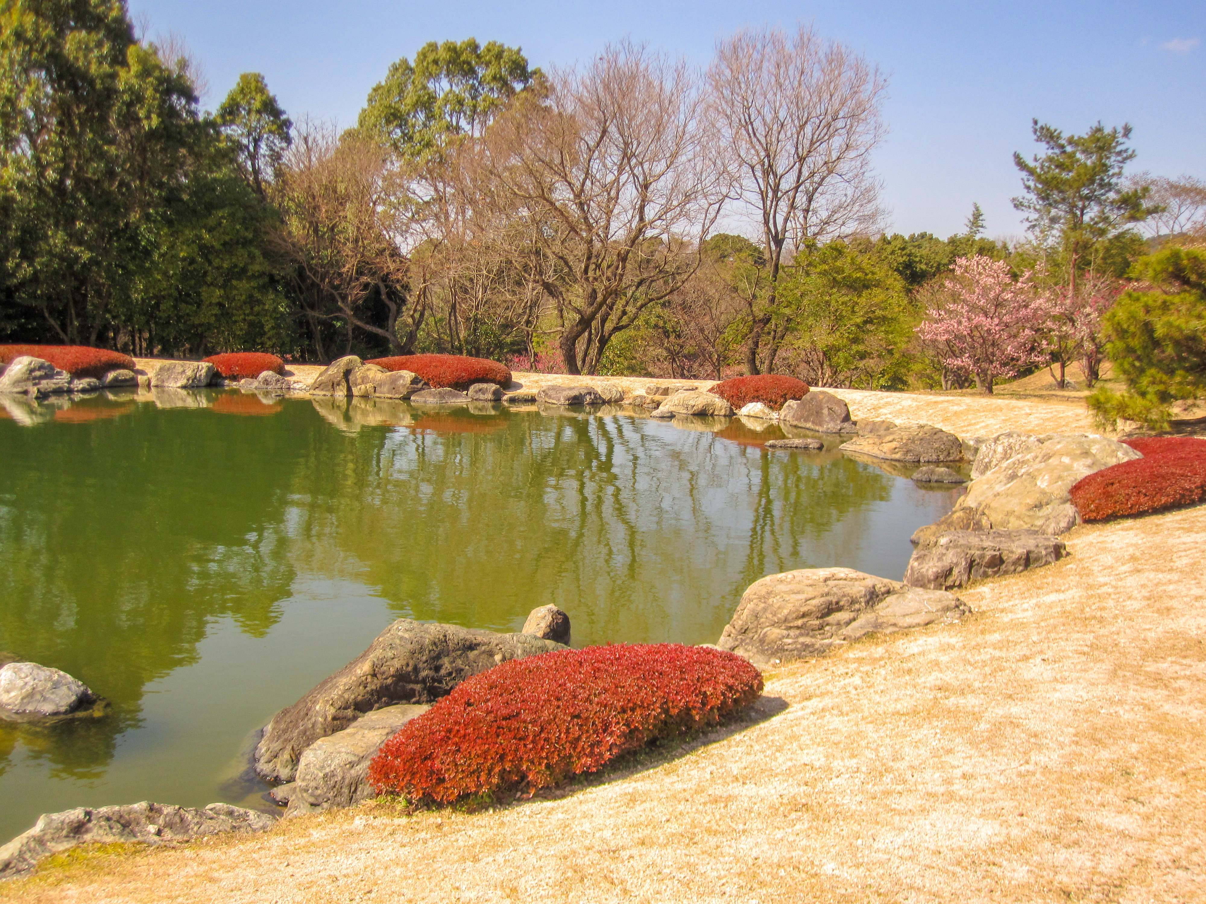 日本庭園,池（00901）