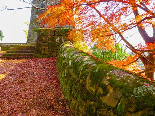 紅葉と古城,岡城跡（00910）