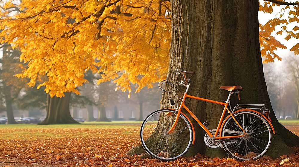 イチョウと自転車