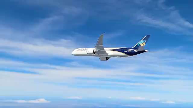 青空を飛ぶ旅客機の映像
