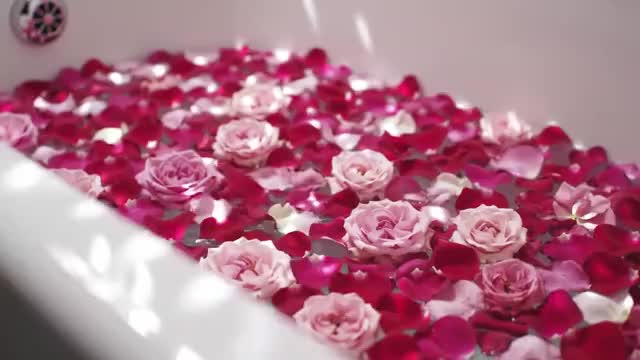 バスタブに浮かぶバラの花びらの映像